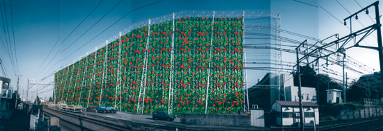 tokyorecycleguid_02.jpg
