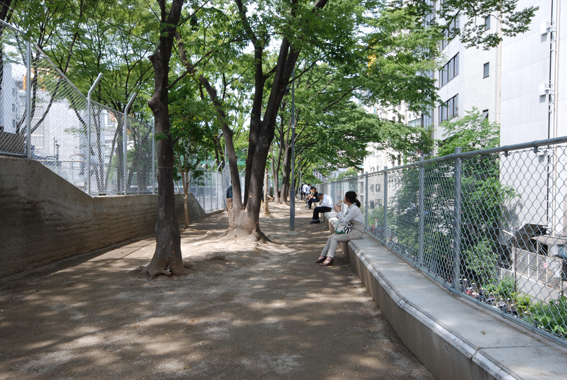 Miyashita Park